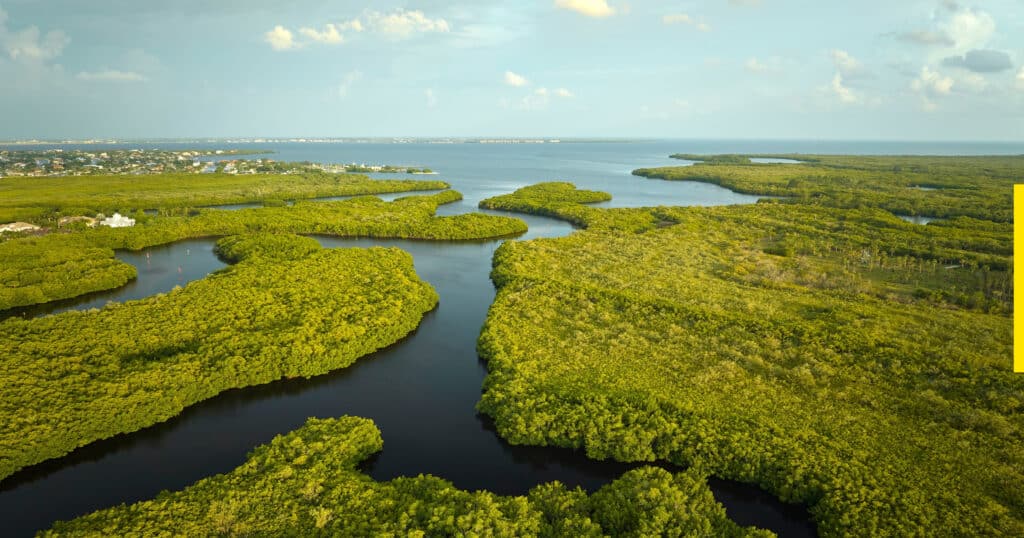 Florida wetlands with green vegetation intersected by blue waters with community in the background