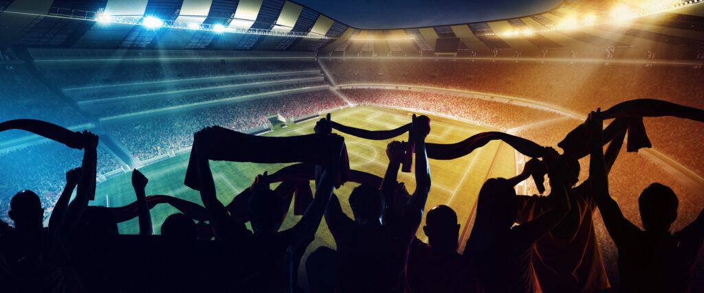 Group,of,people,silhouettes.,back,view,of,football,,soccer,fans
